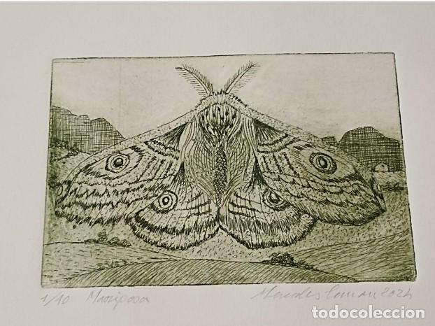 Arte: GRABADO AL AGUAFUERTE DE MERCEDES CUMAN,TITULO MARIPOSA, EDICI&Oacute;N 1/10, FIRMADO A MANO,