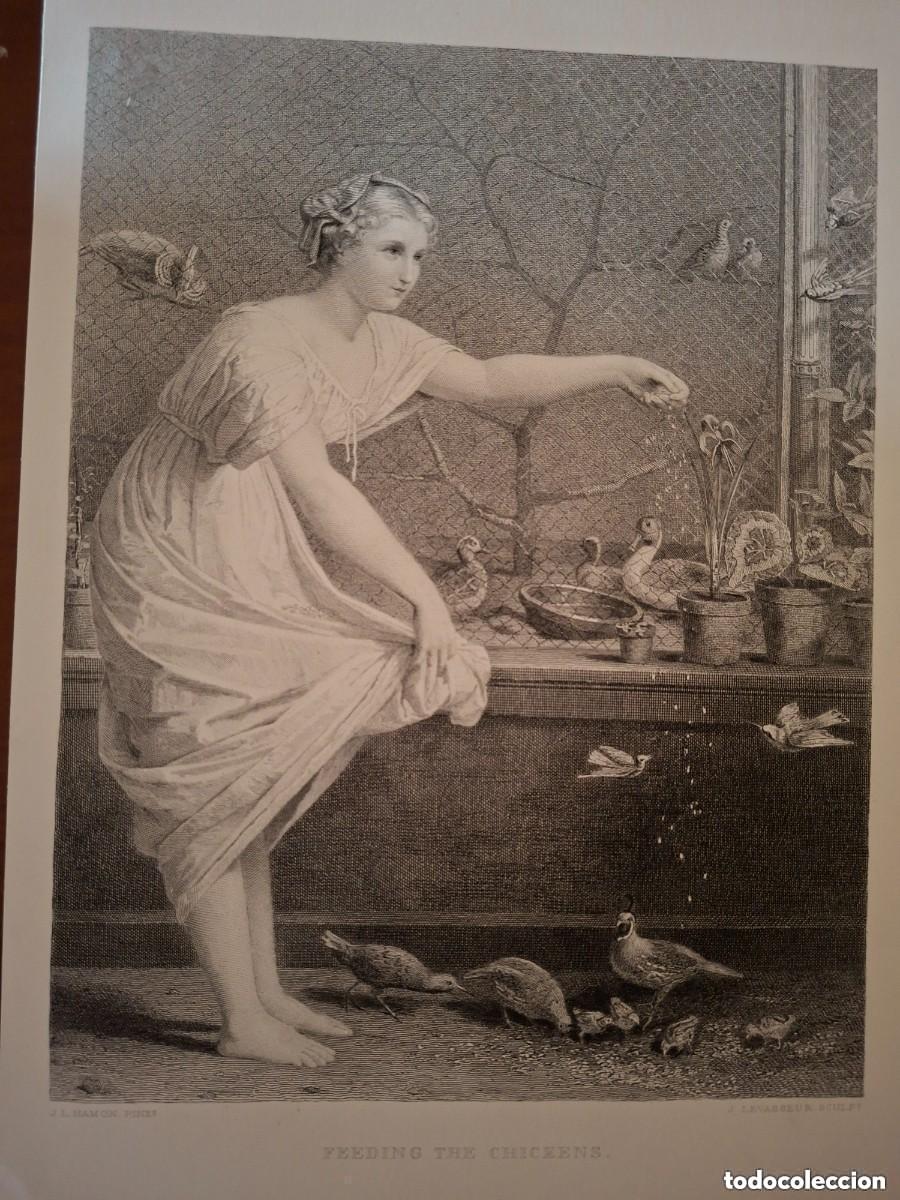 Art: Grabado de J. L. Hamon. Feedig the chickens
