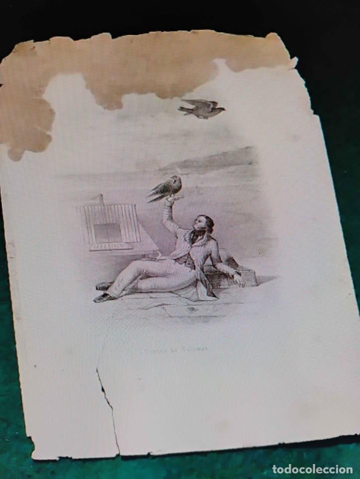 Arte: Correo de Palomas Grabado Antiguo suelto, con rotura