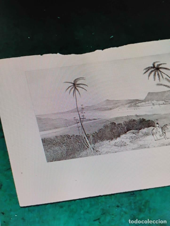 Arte: Tampico, Grabado Antiguo suelto