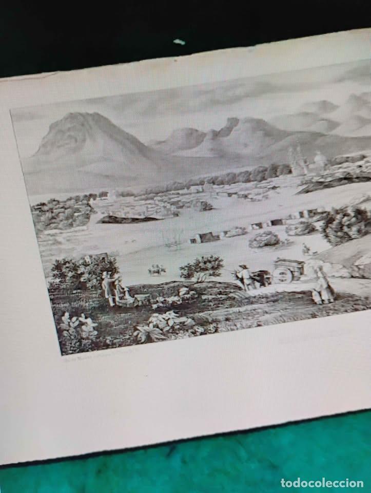 Arte: Chihuahua, Grabado Antiguo suelto