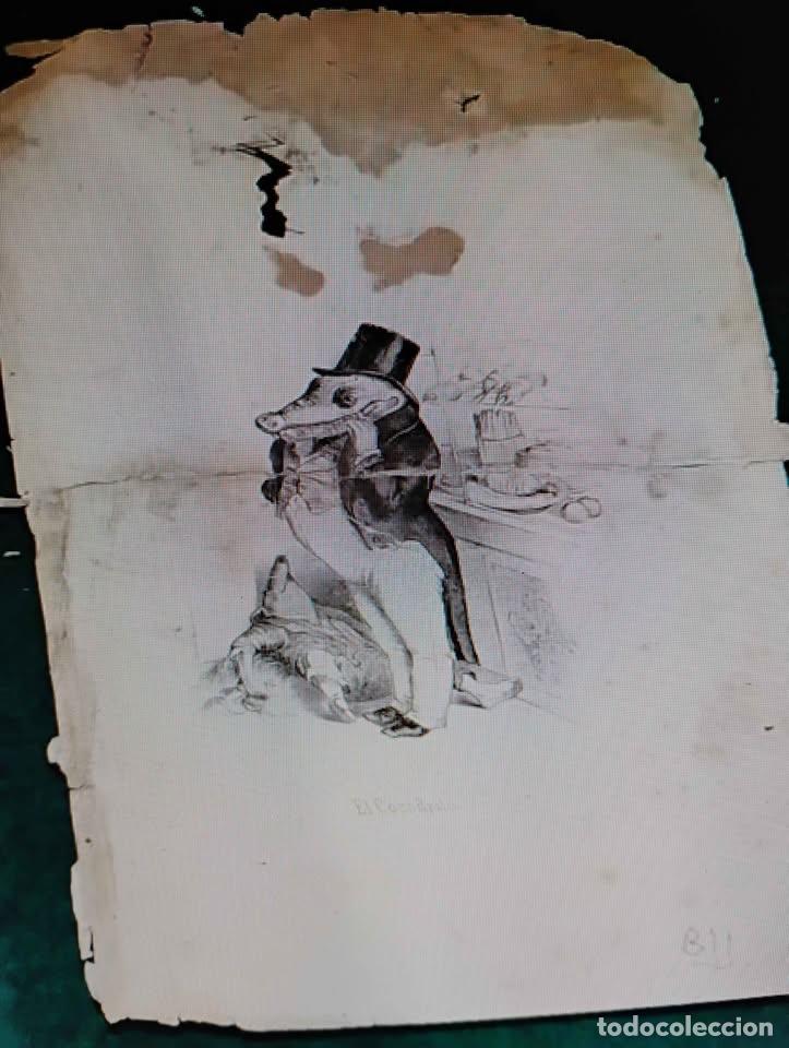 Arte: El Cocodrilo, Grabado Antiguo, restaurado - Foto 1