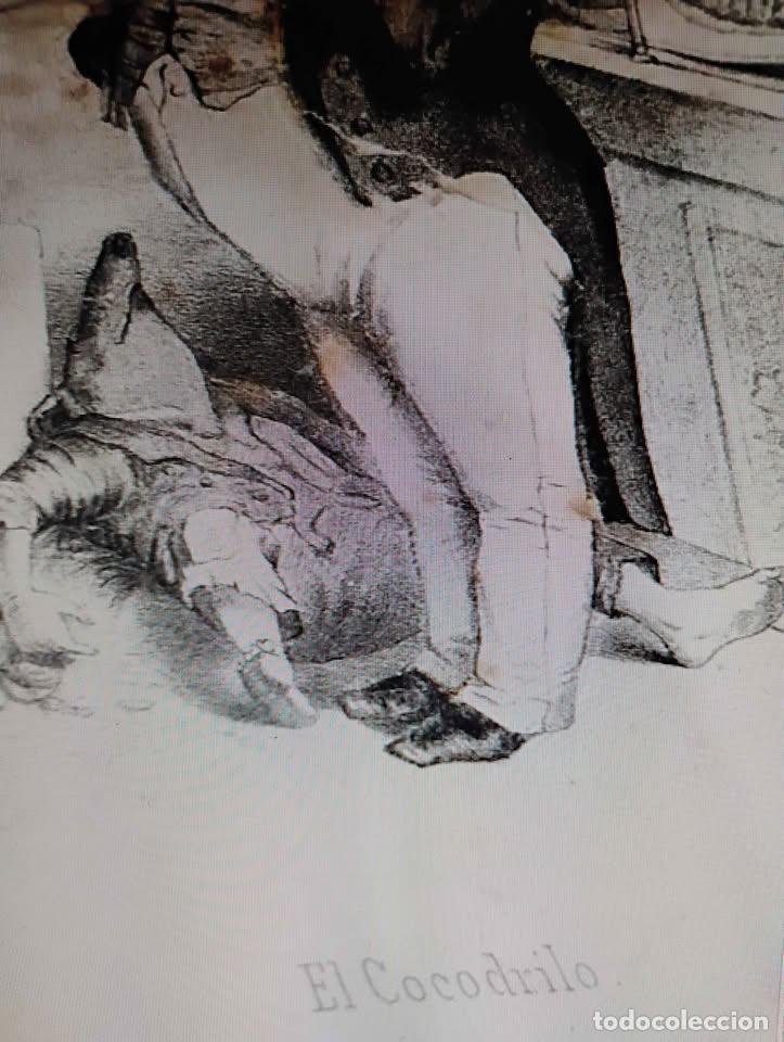 Arte: El Cocodrilo, Grabado Antiguo, restaurado - Foto 2