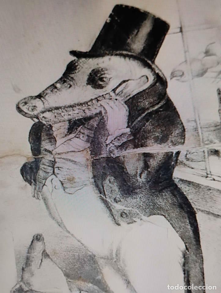 Arte: El Cocodrilo, Grabado Antiguo, restaurado - Foto 3