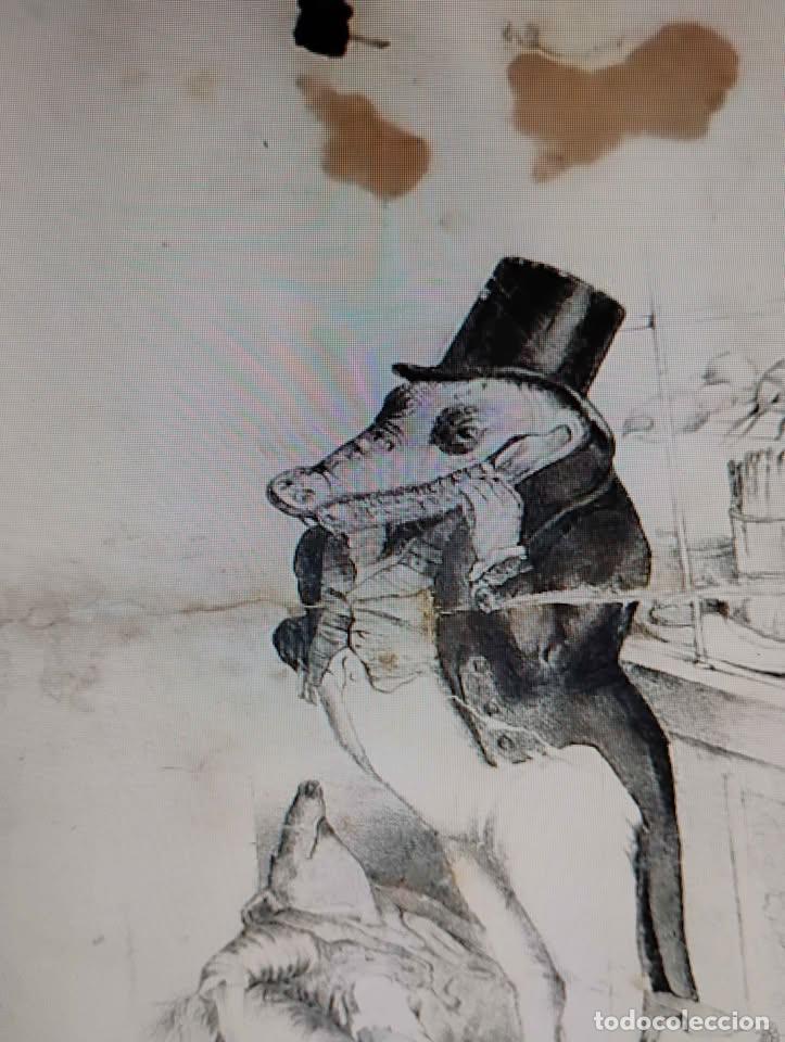 Arte: El Cocodrilo, Grabado Antiguo, restaurado - Foto 4