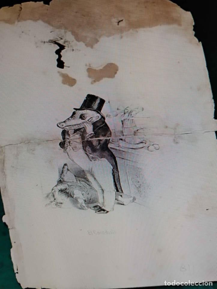 Arte: El Cocodrilo, Grabado Antiguo, restaurado - Foto 6
