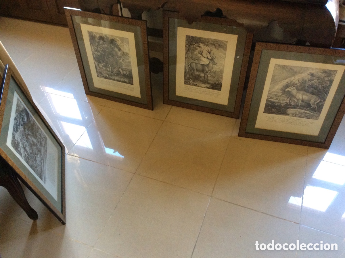 Arte: Lote de cuatro grabados de caza