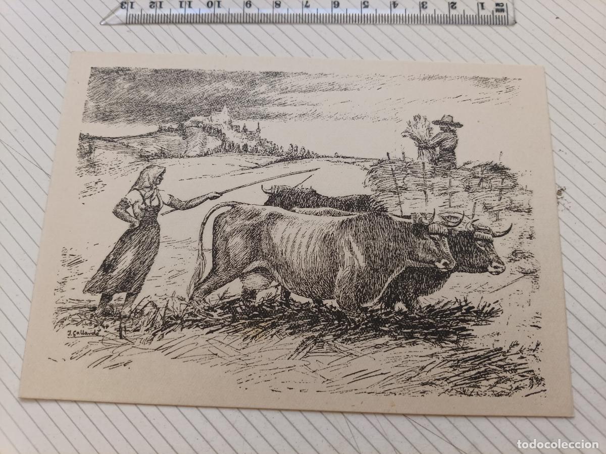 Arte: Grabado a&ntilde;os 50. Dedicado por el autor J. Gallardo. 1952, bueyes