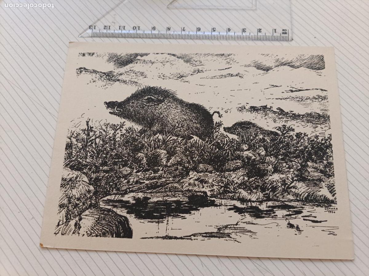 Arte: Grabado a&ntilde;os 50. J. Gallardo. Caza. Dedicado por el autor