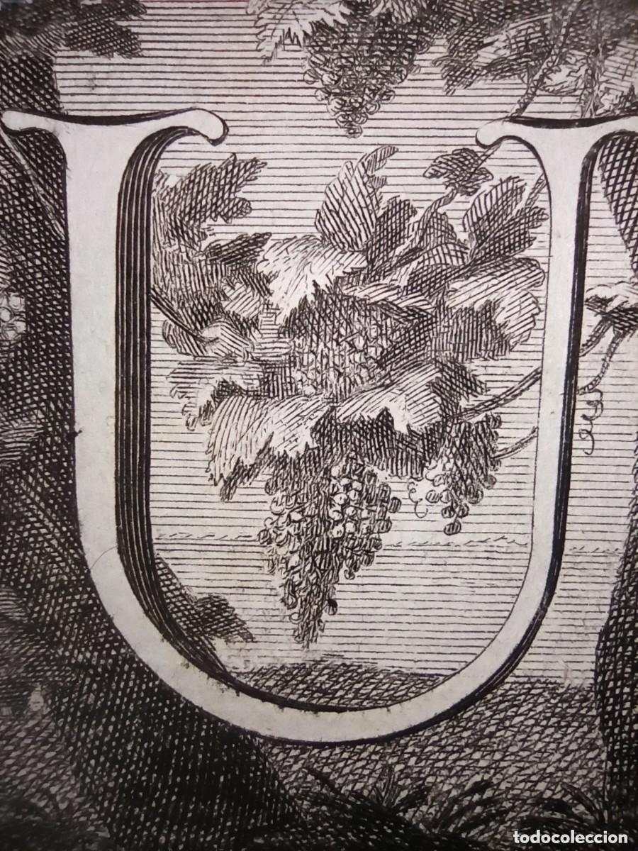 Arte: ESPL&Eacute;NDIDO GRABADO, LETRA CAPITULAR, U, NOLLI / VANVIELLI ORIGINAL,1762, N&Aacute;POLES
