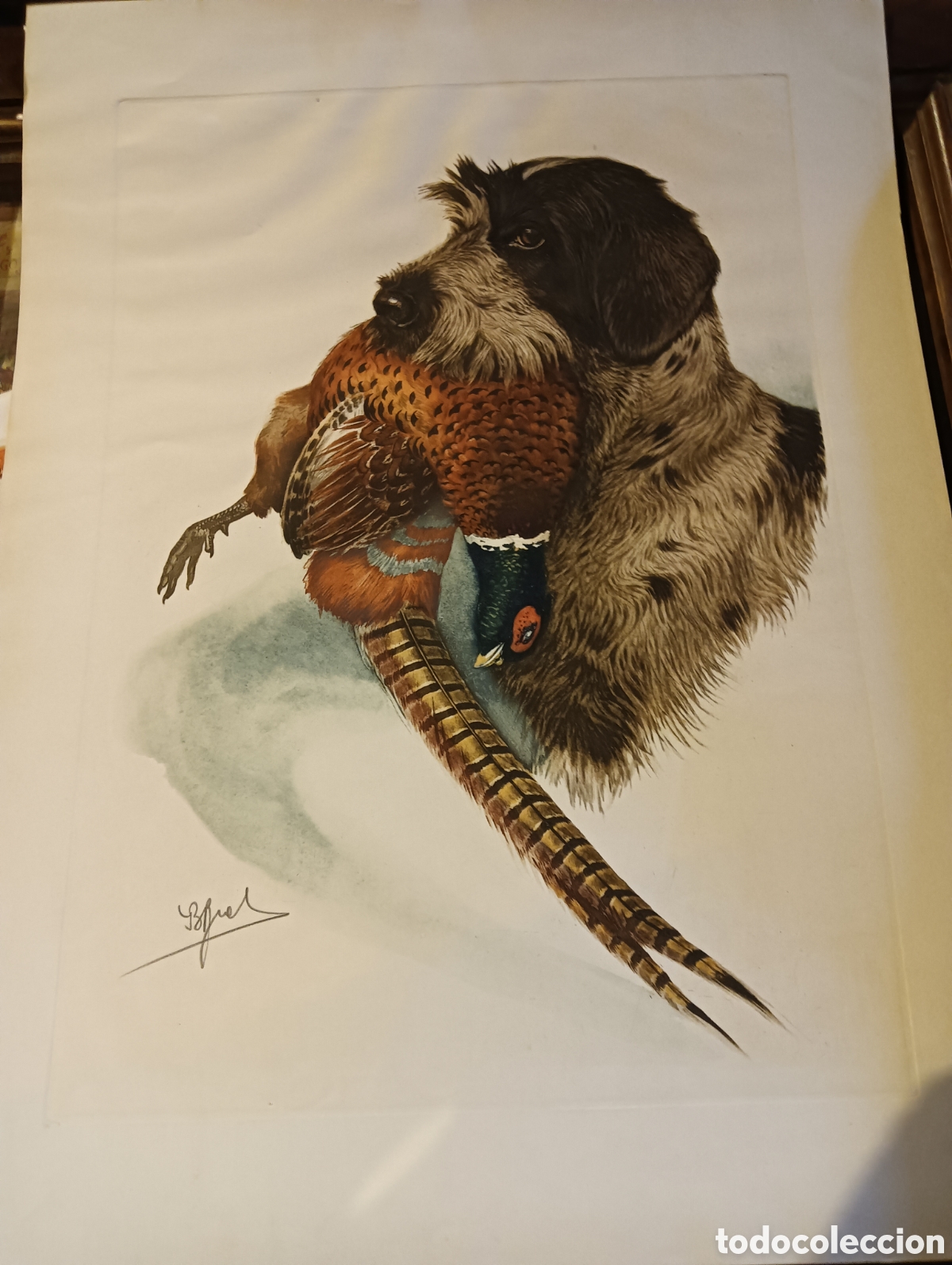 Arte: Antiguo grabado de un perro de caza Boris Riab