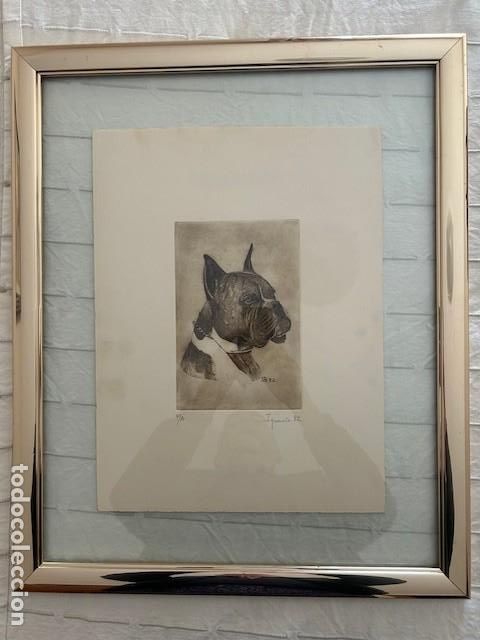 Arte: GRABADO BULDOG, IGNACIO MECO, 1982 FIRMADO EN LAPICERO POR EL AUTOR, ENMARCADO CON DOBLE CRISTAL