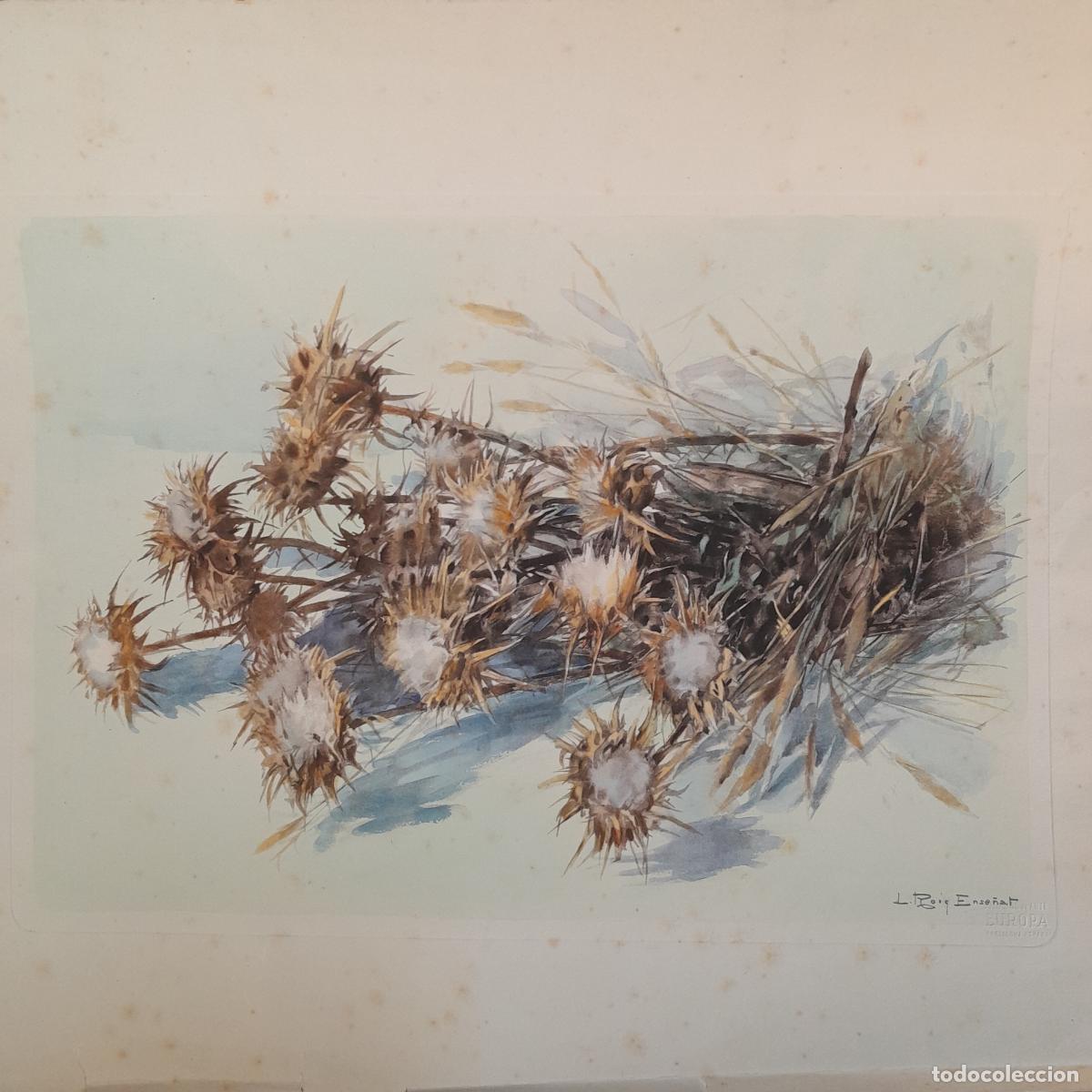Arte: L&Aacute;MINA A PARTIR DE ACUARELA DE L. ROIG ENSE&Ntilde;AT (1870-1949). BODEG&Oacute;N DE CARDOS. 1950 CA.