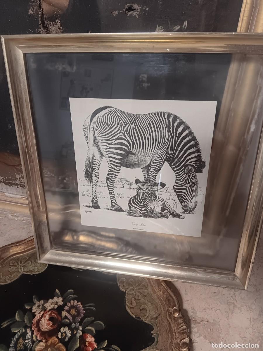 Arte: ilustraci&oacute;n o grabado de una cebra y su cr&iacute;a en la sabana africana.Este tipo de piezas art&iacute;s