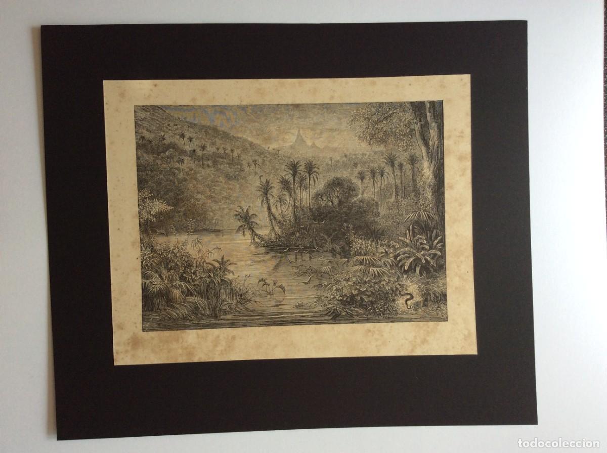 Arte: Atala (Fran&ccedil;ois-Ren&eacute; de Chateaubriand e ilustrada por Gustave Dor&eacute; ). Gravura do s&eacute;culo XIX - N.&ordm; 1