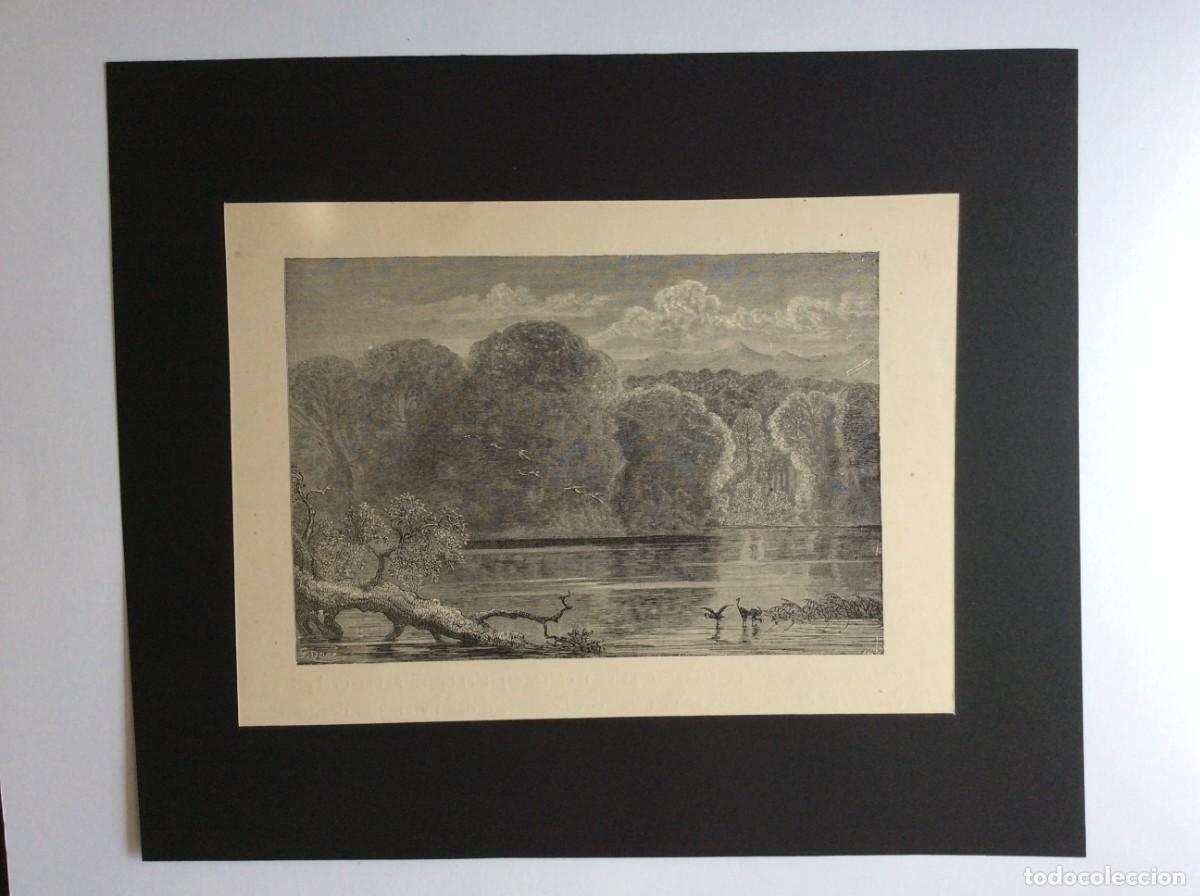 Arte: Atala (Fran&ccedil;ois-Ren&eacute; de Chateaubriand e ilustrada por Gustave Dor&eacute; ). Gravura do s&eacute;culo XIX - N.&ordm; 2