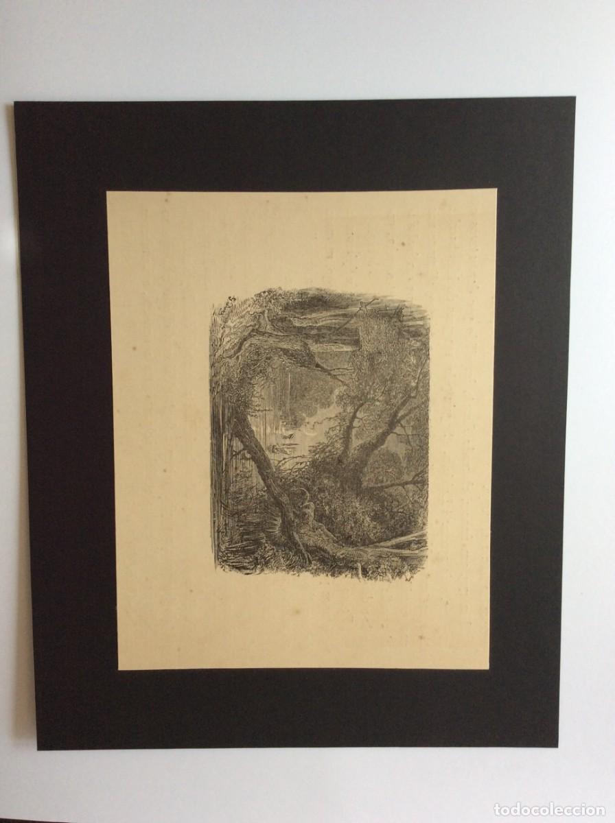 Arte: Atala (Fran&ccedil;ois-Ren&eacute; de Chateaubriand e ilustrada por Gustave Dor&eacute; ). Gravura do s&eacute;culo XIX - N.&ordm; 3
