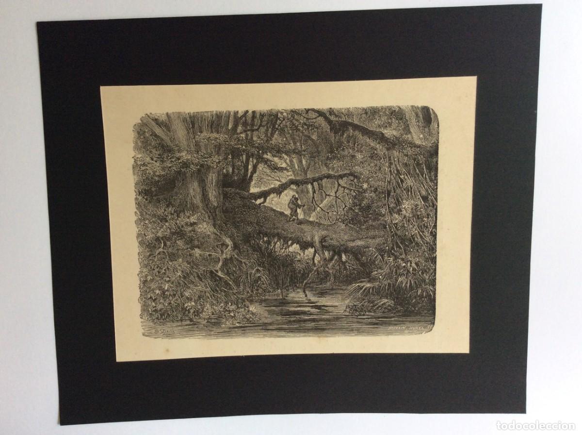 Arte: Atala (Fran&ccedil;ois-Ren&eacute; de Chateaubriand e ilustrada por Gustave Dor&eacute; ). Gravura do s&eacute;culo XIX - N.&ordm; 4