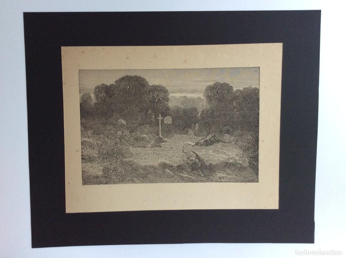 Arte: Atala (Fran&ccedil;ois-Ren&eacute; de Chateaubriand e ilustrada por Gustave Dor&eacute; ). Gravura do s&eacute;culo XIX - N.&ordm; 6