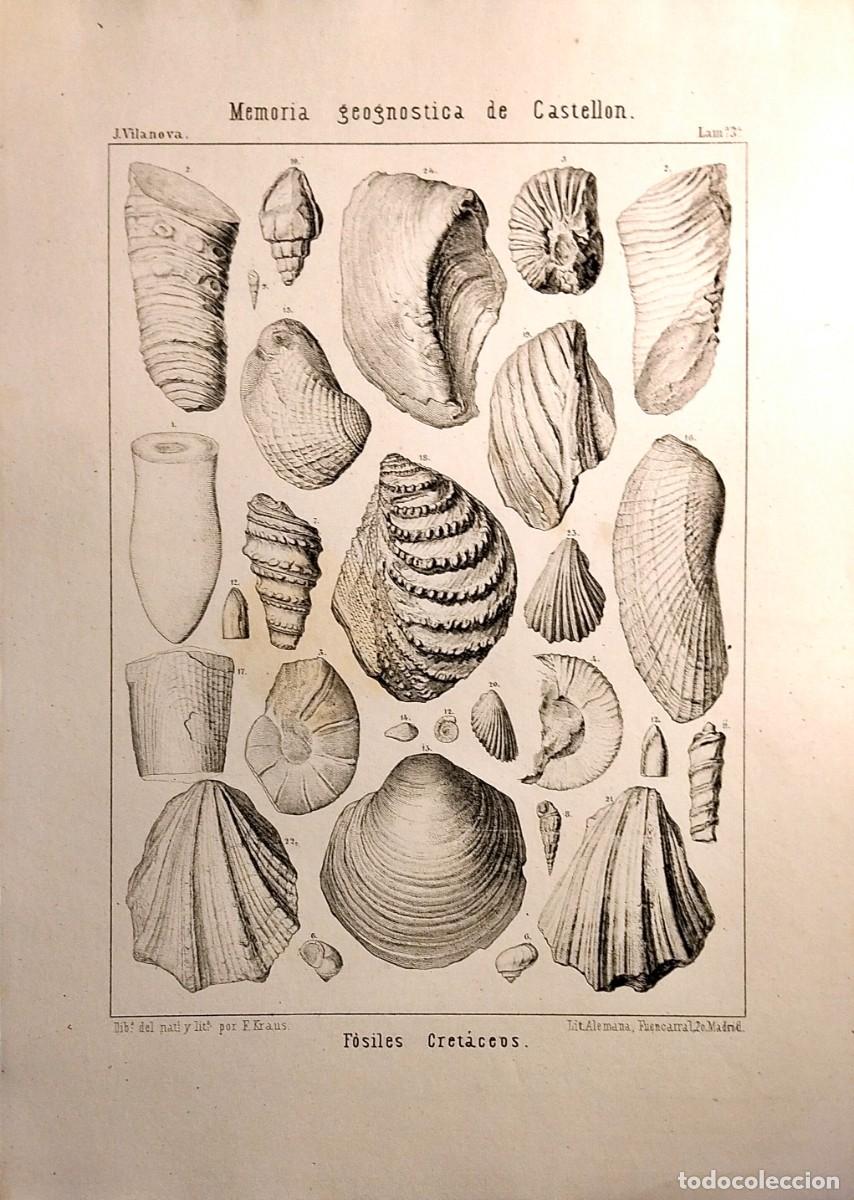 Arte: LITOGRAF&Iacute;A / GRABADO ORIGINAL: MEMORIA GEOGN&Oacute;STICA DE CASTELL&Oacute;N: F&Oacute;SILES CRET&Aacute;CEOS, 1859, ORIGINAL