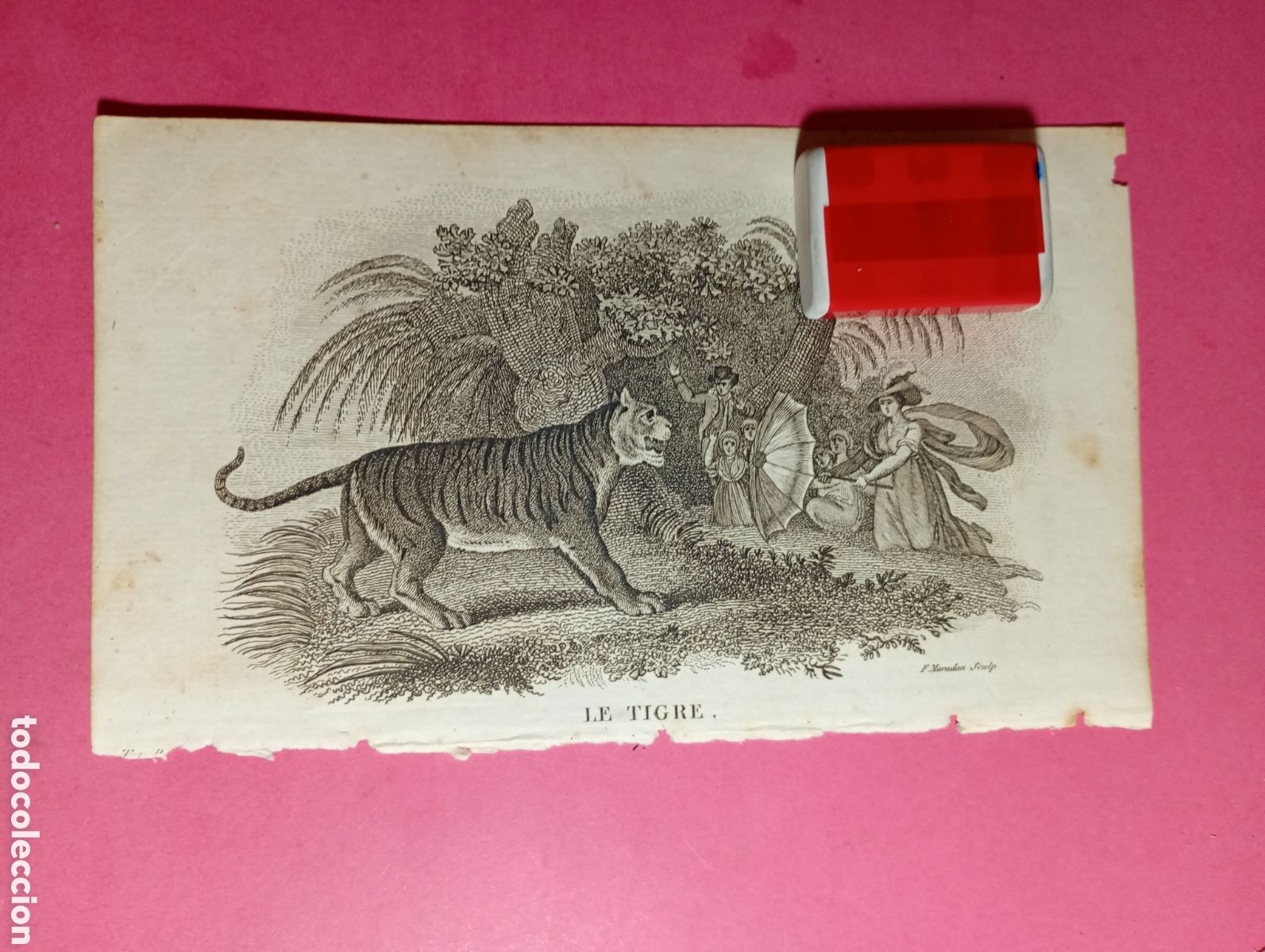 Arte: ANTIGUO GRABADO F. MARADAN SEULP ''LE TIGRE'' Y DOS MUJERES