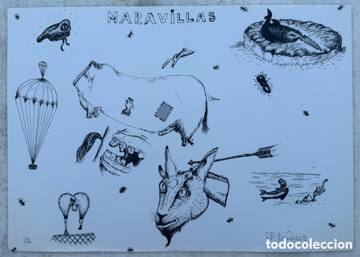 Arte: Rafael P&eacute;rez M&iacute;nguez. Maravillas. Animales Salvajes, Animales Dom&eacute;sticos, 1973