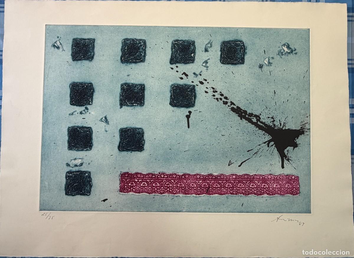 Arte: Daniel Argimon , grabado aguatinta , randa rosa , 1989