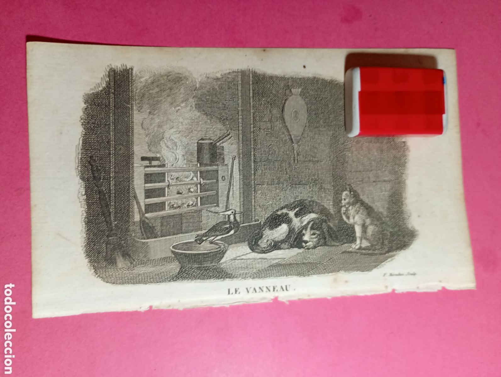 Arte: Antiguo Grabado S.XIX &rdquo;Le Vanneau&rdquo; F. Maradan. Escena Animalista Perro Gato y Avefr&iacute;a