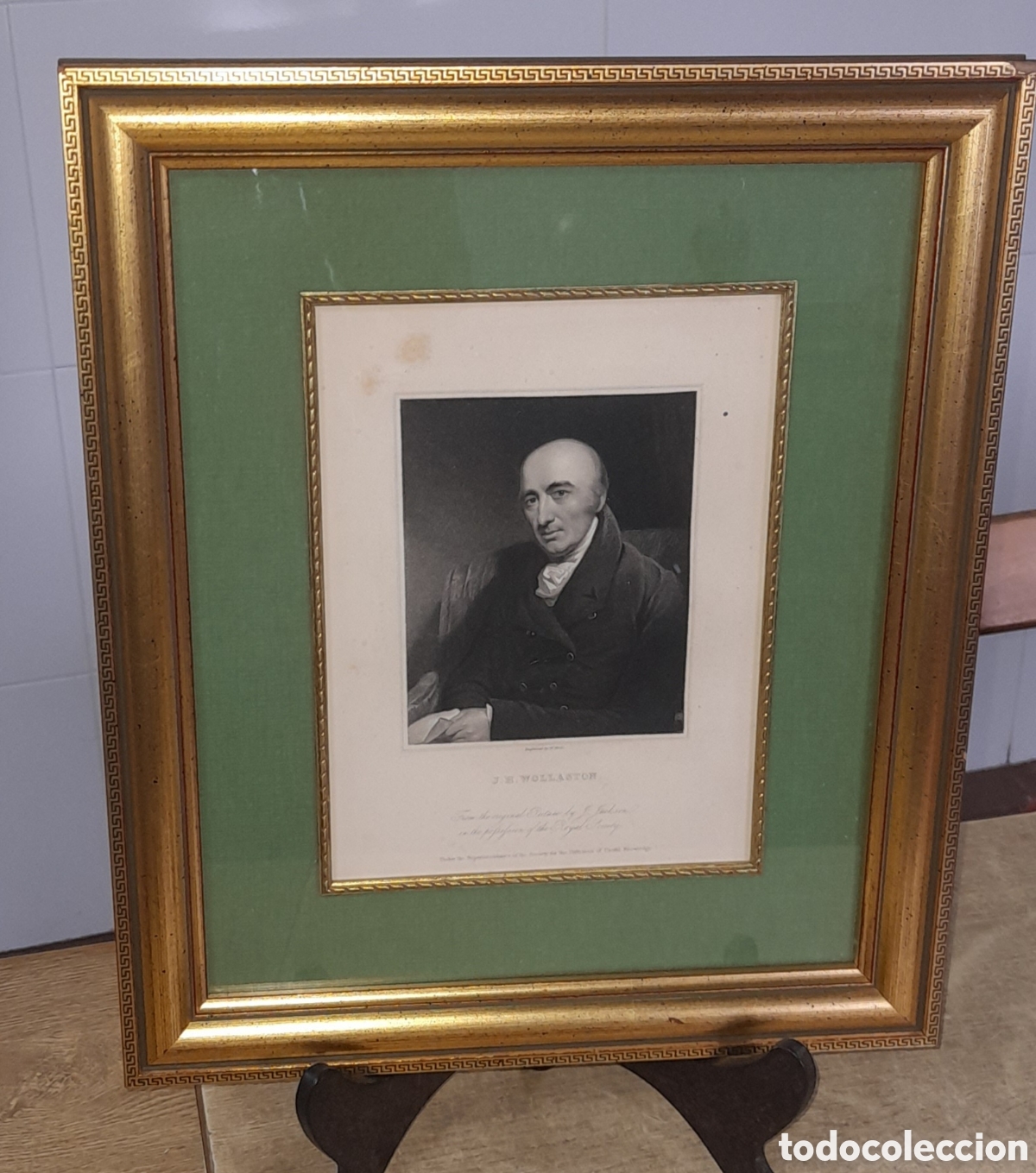 Arte: Grabado de William Hyde Wollaston