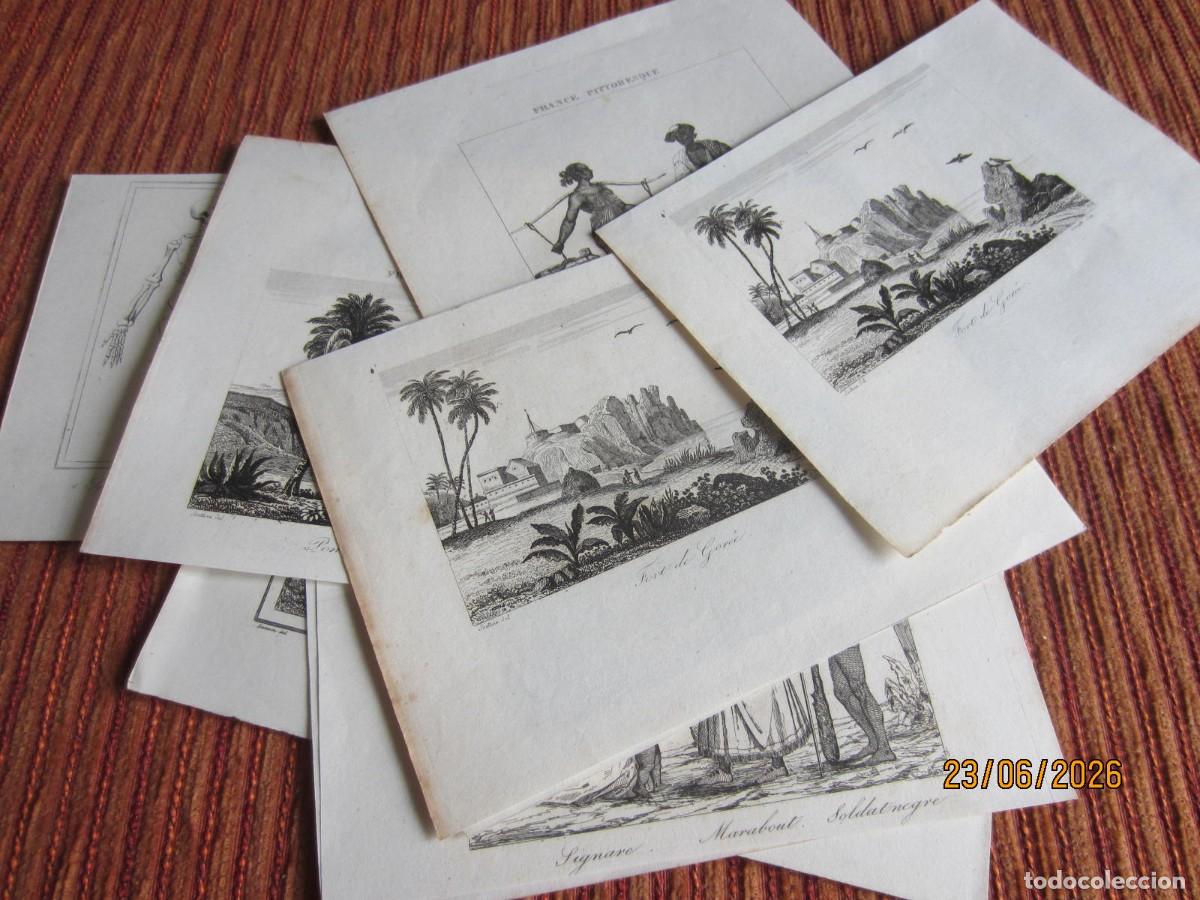 Arte: SIGLO XIX- 9 GRABADOS DE SENEGAL. ORIGINALES