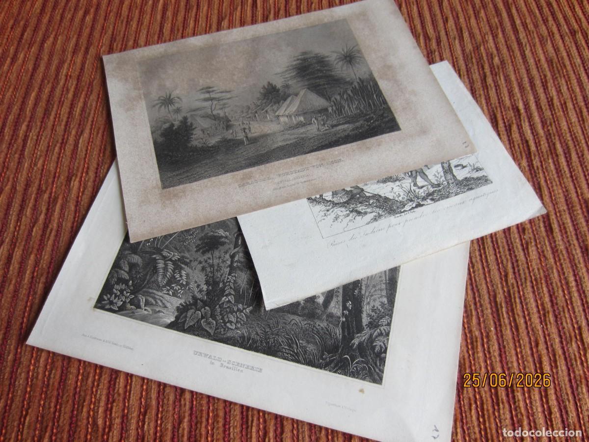 Arte: SIGLO XIX- 3 GRABADOS DE BRASIL. ORIGINALES