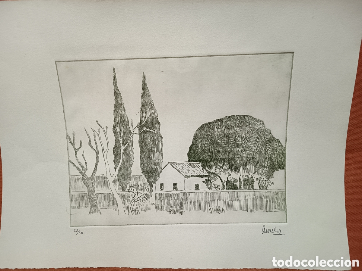 Arte: Grabado Aurelio pintor Murciano - Foto 4