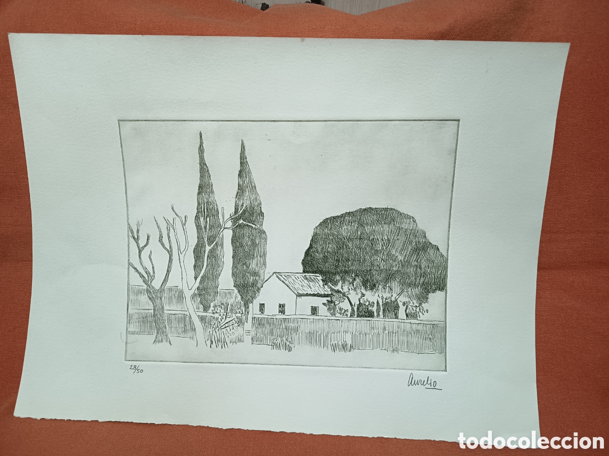 Arte: Grabado Aurelio pintor Murciano - Foto 1