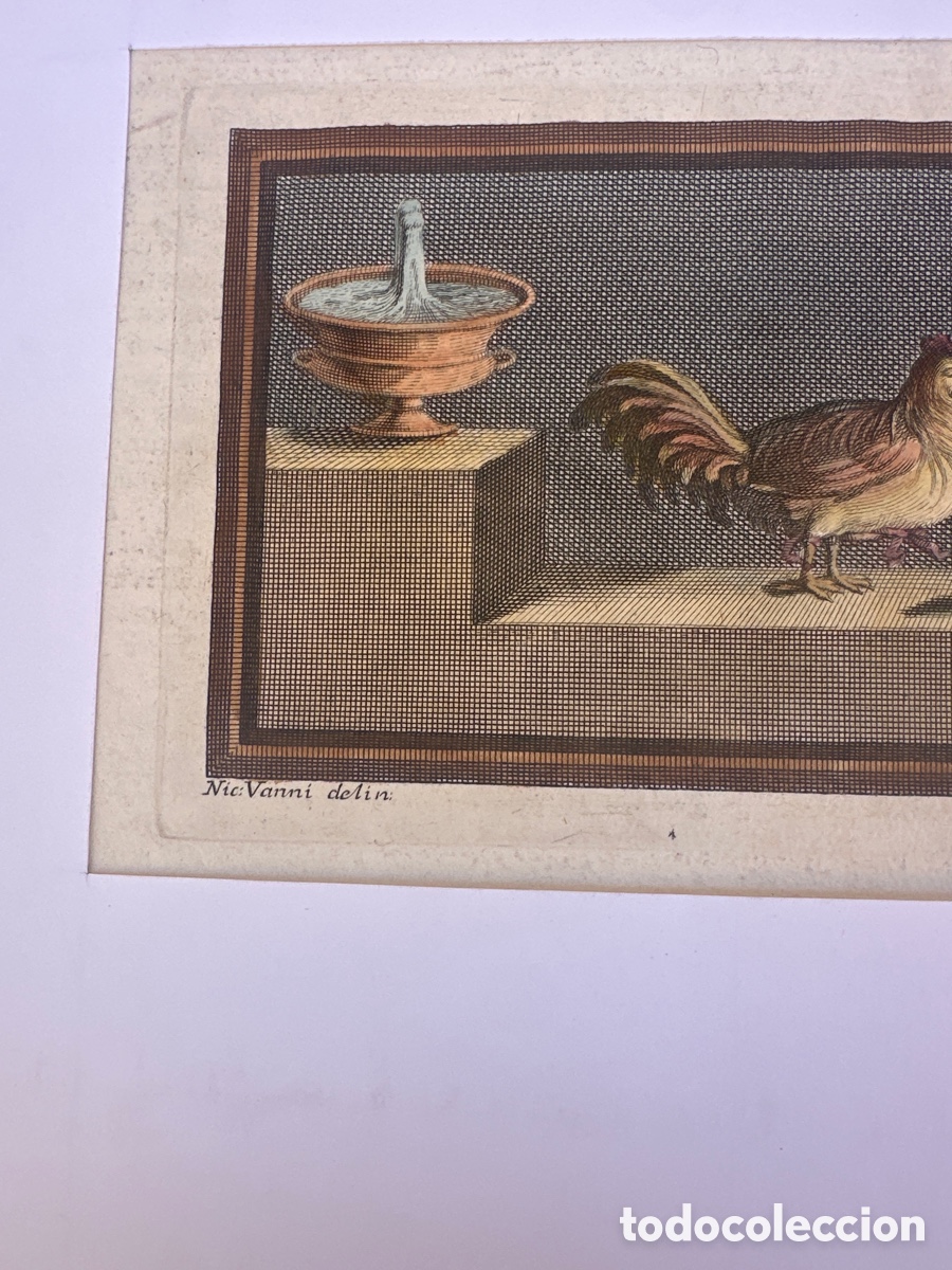 Arte: bodegon de aves de corral - Nicola Vanni - Foto 2