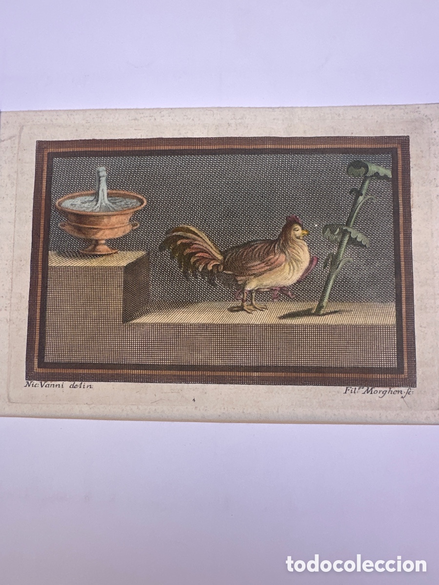 Arte: bodegon de aves de corral - Nicola Vanni - Foto 4