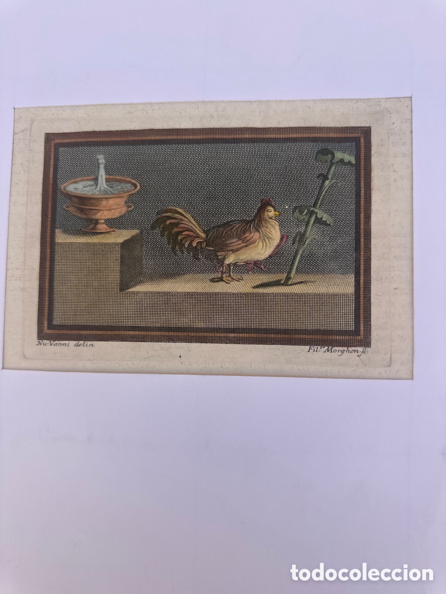 Arte: bodegon de aves de corral - Nicola Vanni - Foto 1