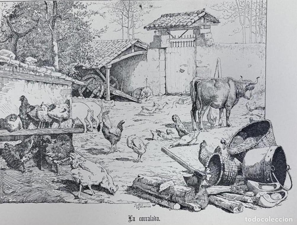 Arte: GRABADO LA CORRALADA. ESCENA DE CORRAL TRADICIONAL C&Aacute;NTABRO, ADOLFO POLANCO, C.A. 1880