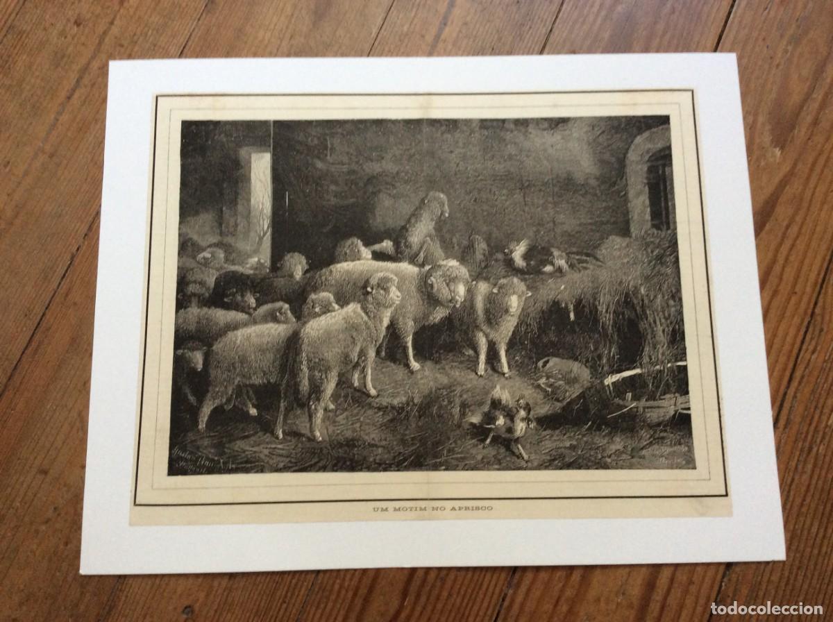 Arte: Um motim no aprisco - Xilogravura de 1905, retirada de uma gravura de (Friedrich Otto Gebler)