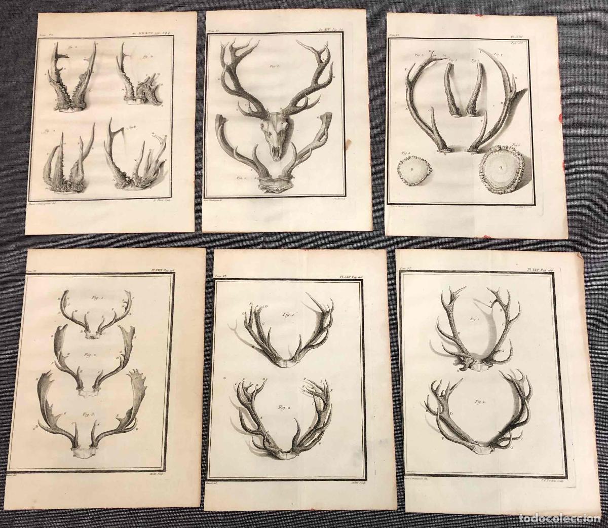 Arte: LOTE DE 6 GRABADOS CORNAMENTAS REALIZADOS POR BUV&Eacute;E. C.1770