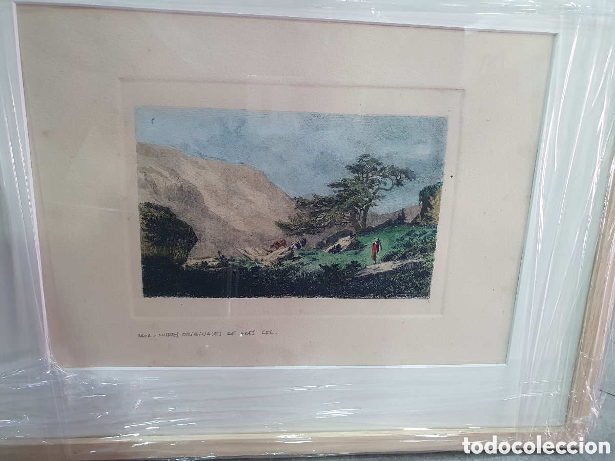 Art: Carlos de Haes. Aguafuerte s. XIX. (L98)