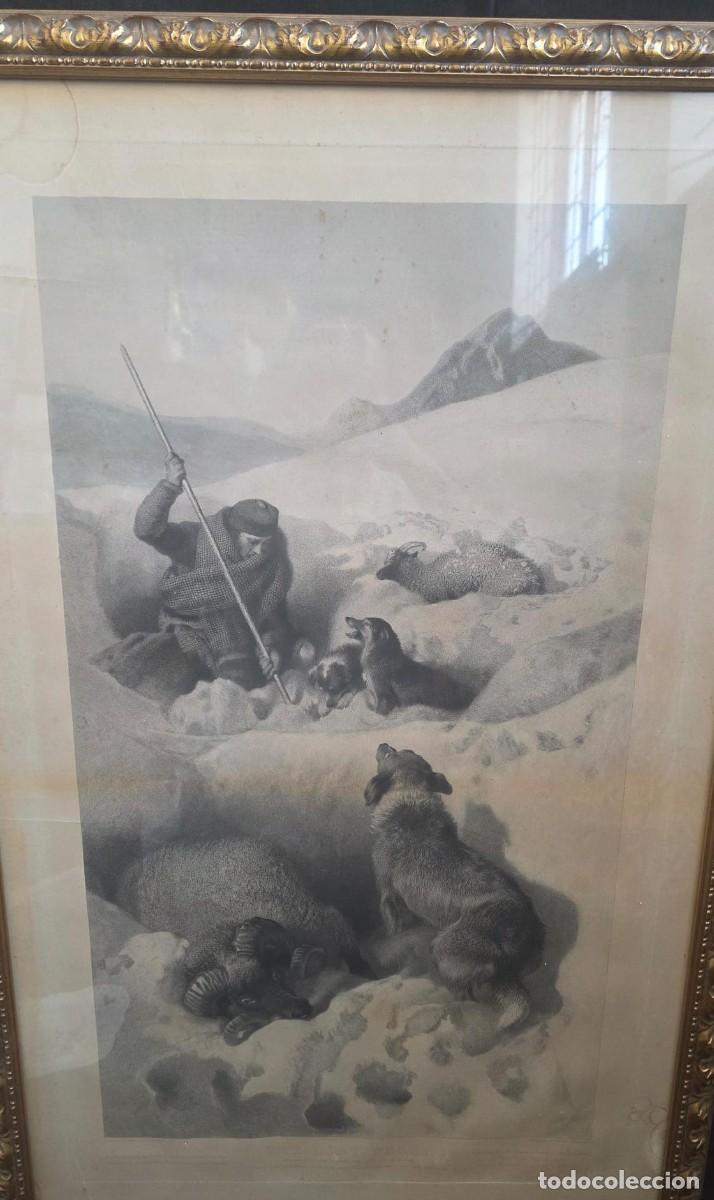 Arte: Gran Grabado Antiguo Enmarcado &ndash; Pastor en la Nieve con Perros y Reba&ntilde;o &ndash; Escena Alpina &ndash; 104 &times; 65