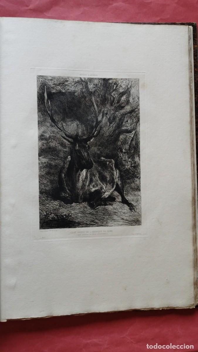 Arte: AUG. LANCON.-PINTOR.-CERF WAPETI DE L'AMERIQUE DU NORD.-AGUAFUERTE.-L'ART.-GRABADO.-SIGLO XIX.