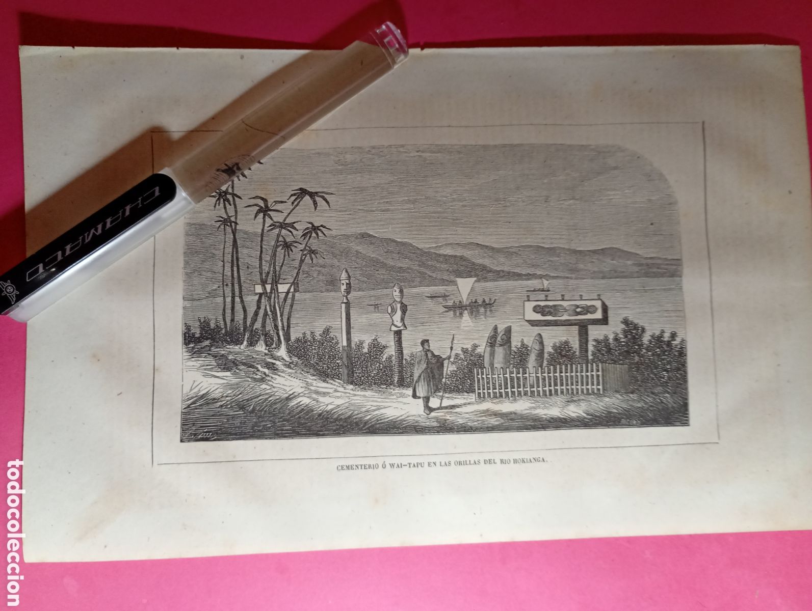 Arte: NUEVA ZELANDA ANTIGUO GRABADO S. XIX/PRINCIPIO XX CEMENTERIO O WAI TAPU RIO HOKANGA