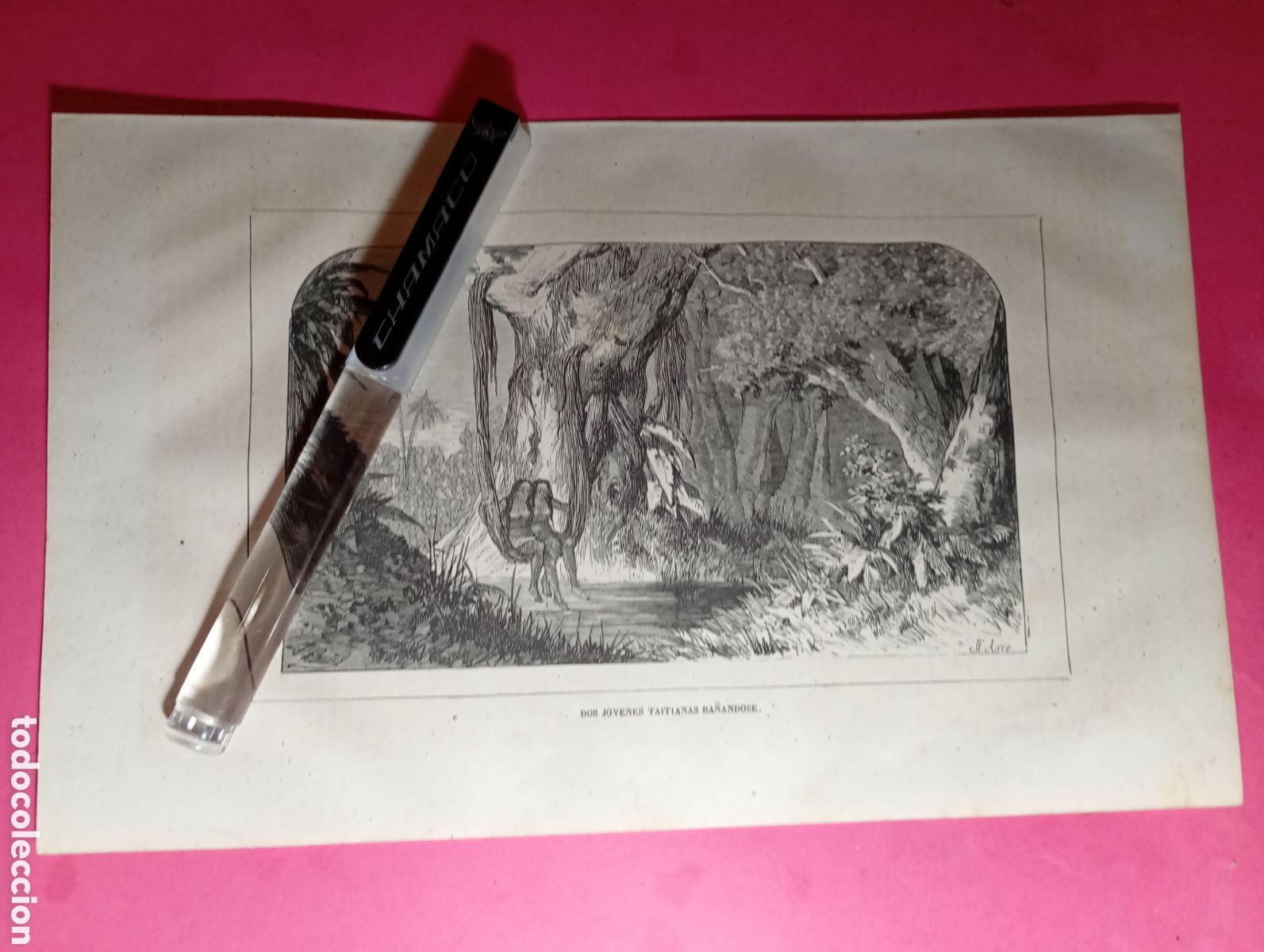 Arte: ARCHIPIELAGO TAITI ANTIGUO GRABADO S. XIX/PRINCIPIO XX 2 J&Oacute;VENES TAITIANAS BA&Ntilde;ANDOSE
