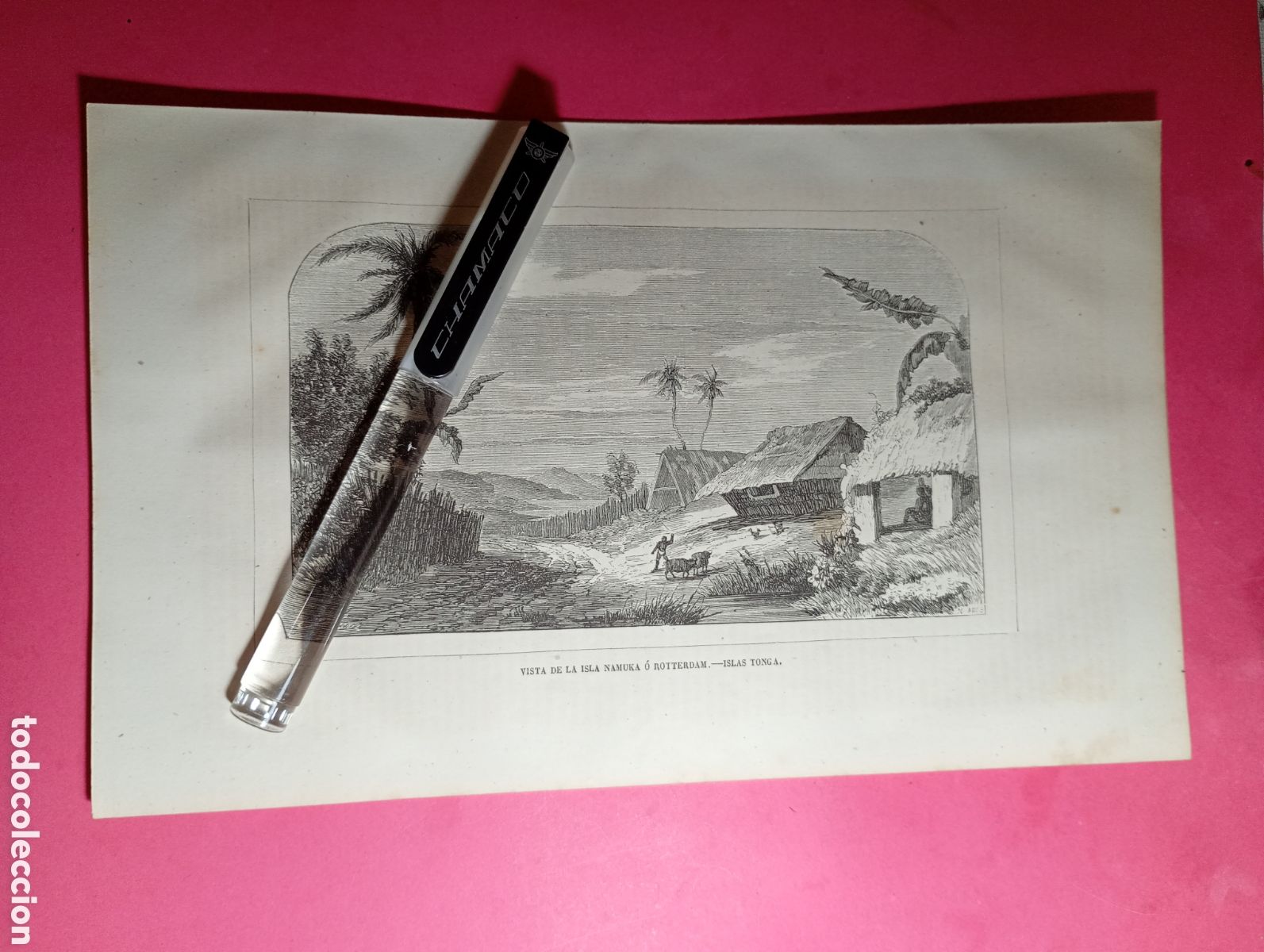 Arte: ISLAS TONGA ANTIGUO GRABADO S. XIX/PRINCIPIO XX VISTA DE LA ISLA NONUKA O ROTTERDAM
