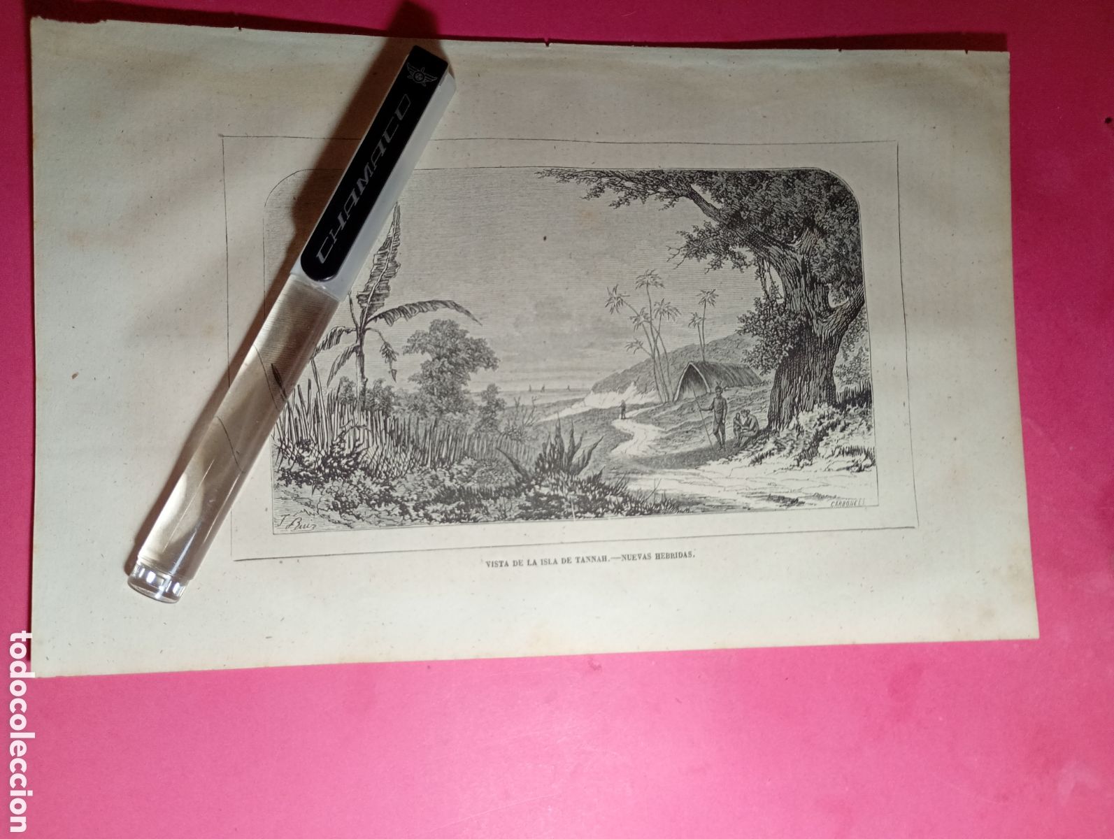 Arte: NUEVAS HEBRIDAS ANTIGUO GRABADO S. XIX/PRINCIPIO XX VISTA DE LA ISLA DE TANNAH