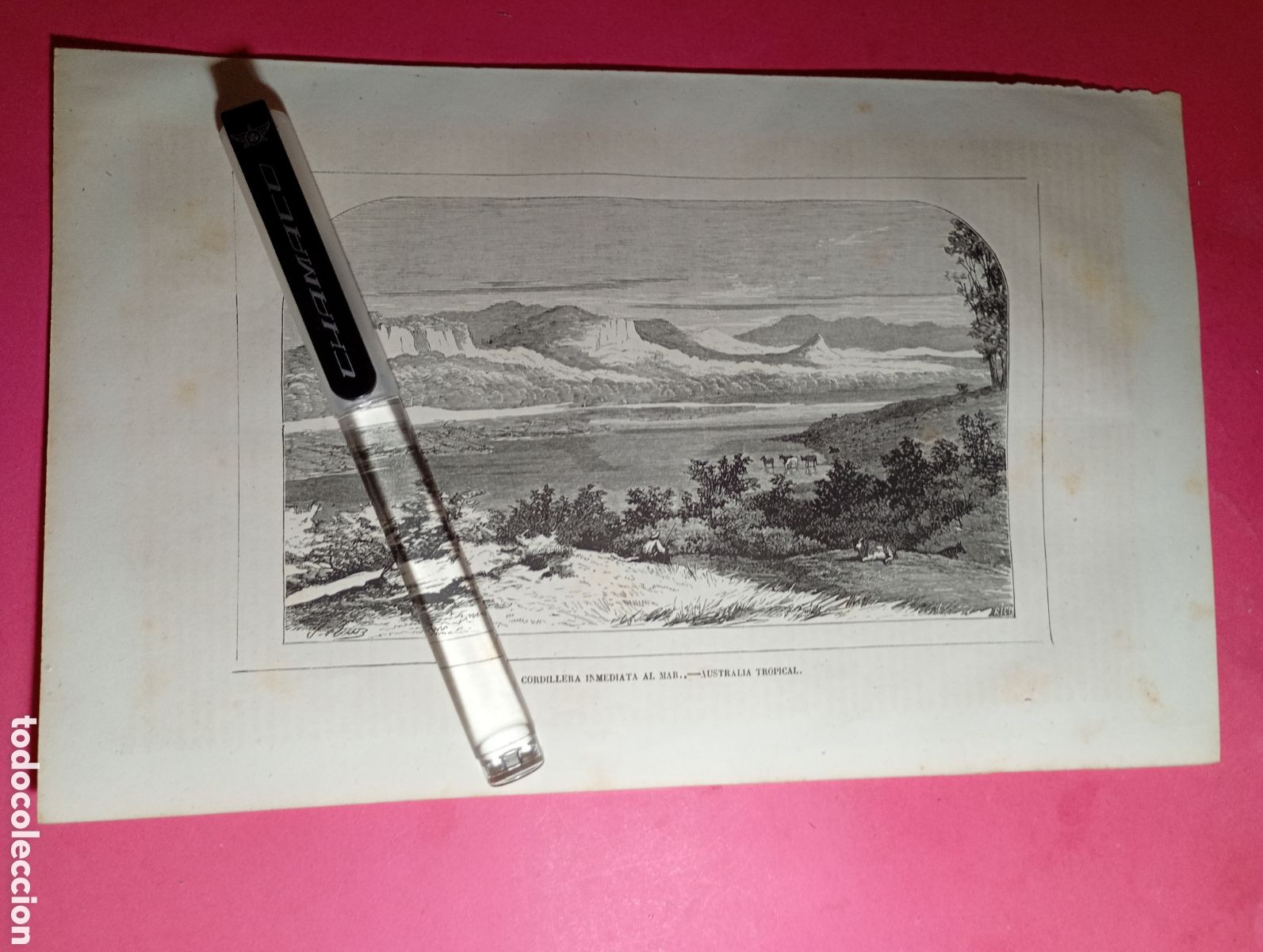Arte: AUSTRALIA TROPICAL ANTIGUO GRABADO XIX O PRINCIPIO XX CORDILLERA INMEDIATA AL MAR