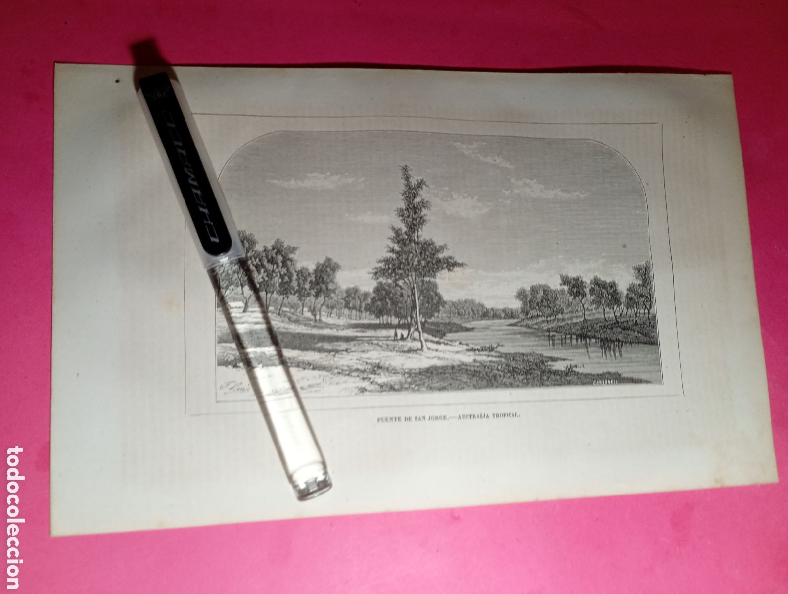 Arte: AUSTRALIA TROPICAL ANTIGUO GRABADO XIX O PRINCIPIO XX ''PUENTE DE SAN JORGE''