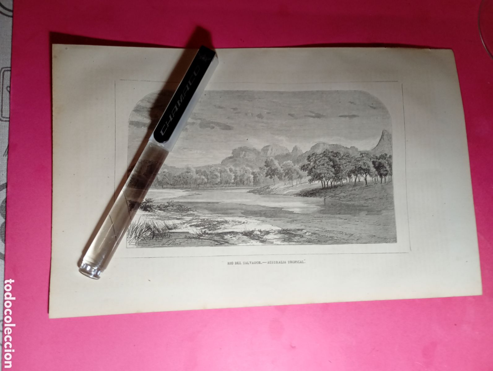 Arte: AUSTRALIA TROPICAL ANTIGUO GRABADO XIX O PRINCIPIO XX ''RIO SALVADOR''