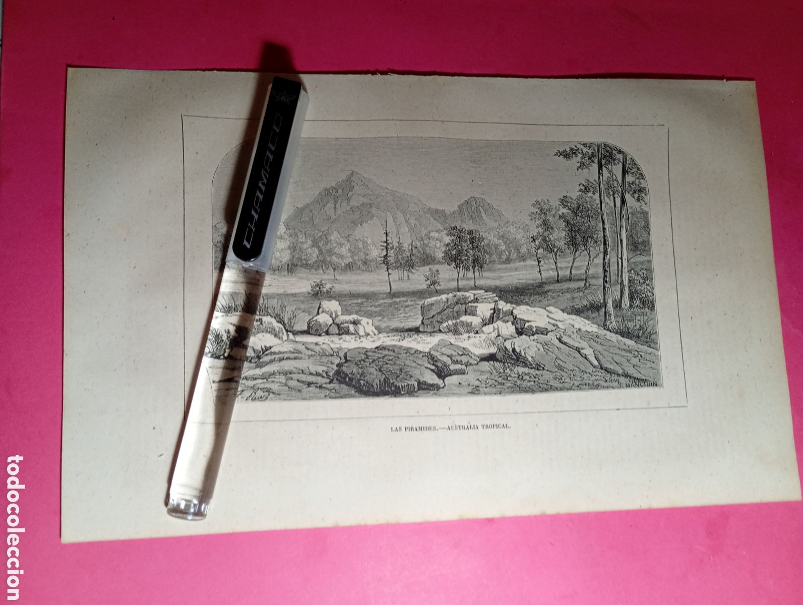 Arte: AUSTRALIA TROPICAL ANTIGUO GRABADO XIX O PRINCIPIO XX ''las pir&aacute;mides''